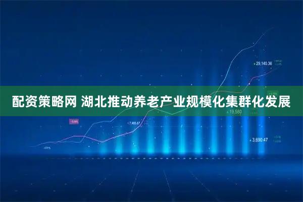 配资策略网 湖北推动养老产业规模化集群化发展