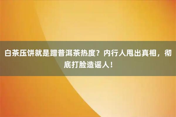 白茶压饼就是蹭普洱茶热度？内行人甩出真相，彻底打脸造谣人！