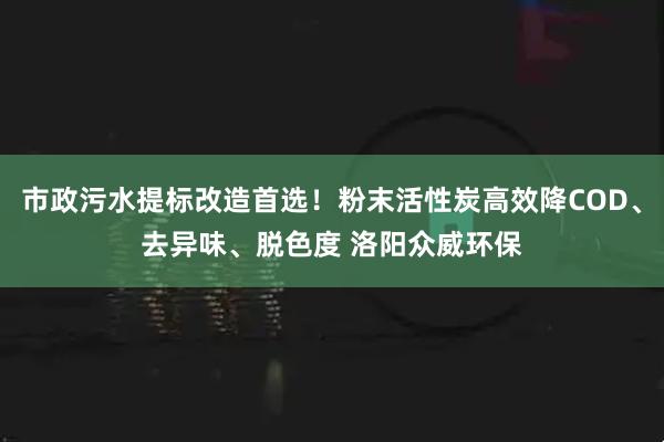 市政污水提标改造首选！粉末活性炭高效降COD、去异味、脱色度 洛阳众威环保